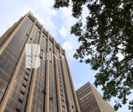 Andar Corporativo para Alugar São Paulo - SP